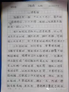 新聞校園七軍訓(xùn)作文