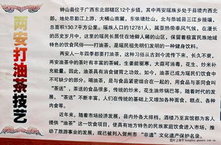 非物質(zhì)文化遺產(chǎn)走進校園作文