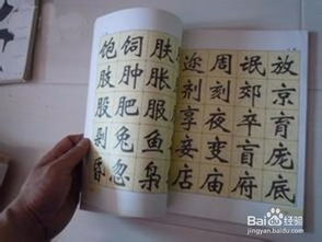 校園的調(diào)查報(bào)告作文怎么寫