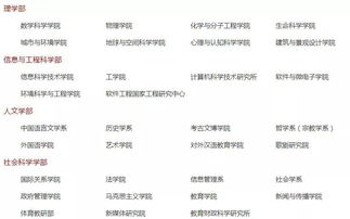 一路同行作文600字初中,我們一路同行作文600字,與誠信一路同行作文600字