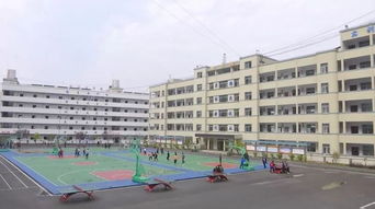 民族文化進校園作文