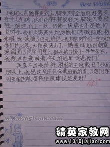 校園秋季運(yùn)動(dòng)會(huì)作文500字左右