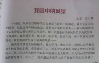 農村校園一景作文400字