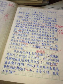 青春校園同學(xué)之間作文開頭