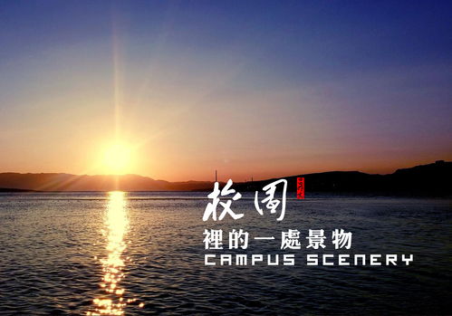 我們的校園作文300字寫景