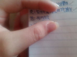 校園拔河比賽作文300字以上