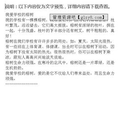 關(guān)于校園榕樹精神作文