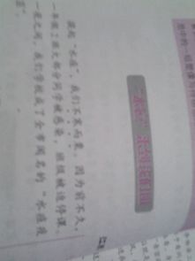 作文,最美,眼中,校園