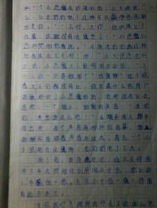 在校園中感人的事作文600字作文