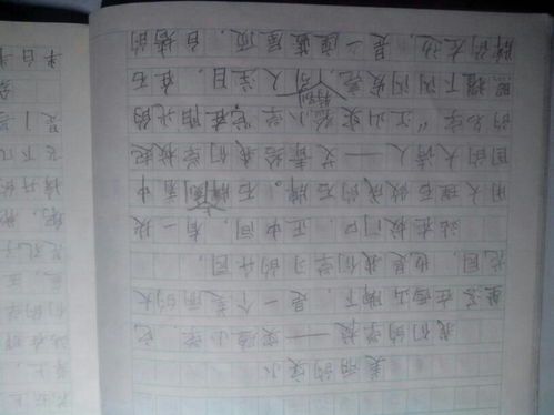 我的校園移步換景作文400字,移步換景描寫校園作文600字,移步換景的寫景作文400字我的校園