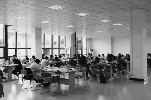 關(guān)于疫情過(guò)后回歸校園作文