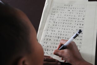 4級(jí)作文題目我的校園