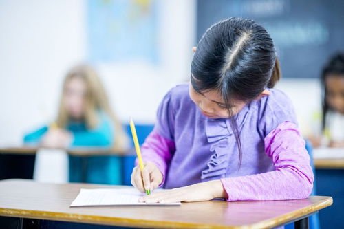 安全校園作文1000字左右