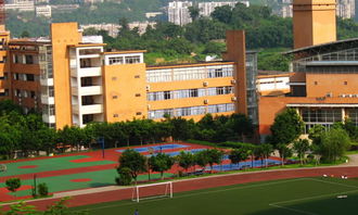 漫步校園作文300字左右,漫步校園作文600字,漫步校園作文800字高一