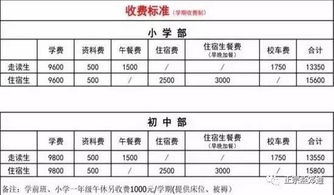 獨(dú)一無二的校園作文開頭