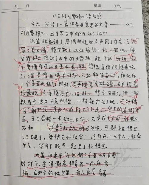 校園里的一年四季作文三百字,青島的一年四季作文三百字,搜索隆堯的一年四季作文三百字