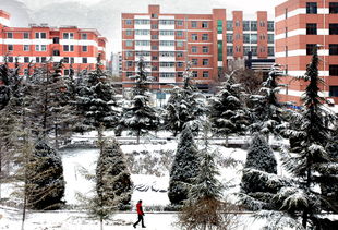 校園冬天的花園作文