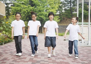 作文,六級,校園生活