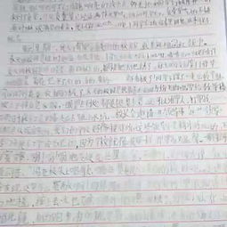 高中校園美景作文1000字作文
