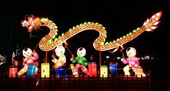 國慶校園燈展作文