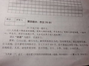 最好的,作文,校園里,遇見