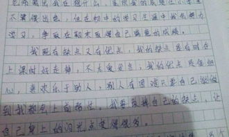 校園愛校心得體會600字作文