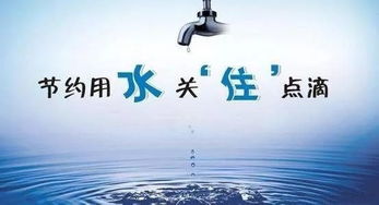 節(jié)約用水創(chuàng)建節(jié)水校園(作文)