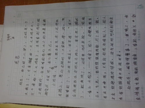 作文,文化周,校園,活動