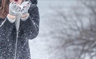 冬天美麗的校園作文怎么寫