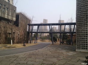 校園我眼中最美的風(fēng)景作文六百字