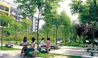 《校園一角》200字作文