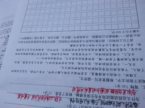 新的校園新的環(huán)境作文800字初三