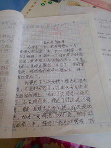 作文,書香,好書,校園