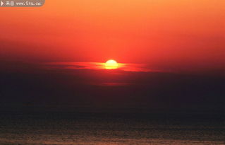 作文,美景,日出,校園