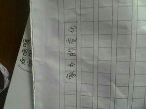 校園運動會六年級作文600字,校園的變化作文500字六年級,多彩的校園活動作文六年級