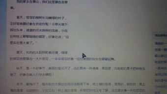 作文,家鄉(xiāng),風(fēng)景,校園