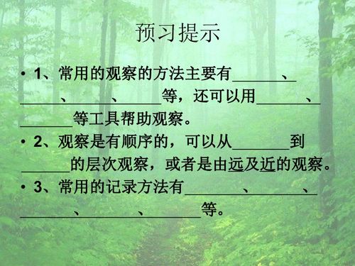 校園的樹四季變化作文