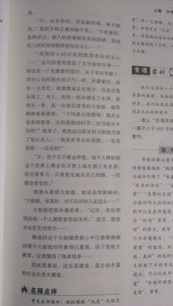 作文,樂樂,課堂,溫馨