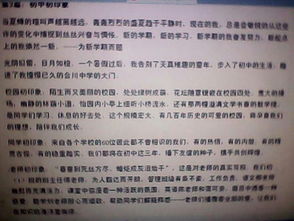 校園印象高中作文1000