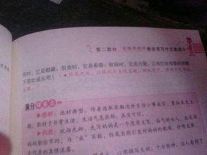 作文,個字,校園