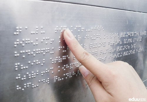 校園的同一片藍(lán)天下作文