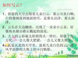 寫一篇校園的一處風(fēng)景作文三級作文