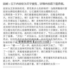 記一次校園活動會400字作文400字