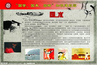 國粹進(jìn)校園的作文