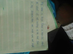 名叫美麗的校園三百字作文按照時(shí)間順序