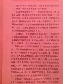 校園里的運(yùn)動(dòng)員新聞作文