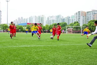 校園足球賽作文500字作文,難忘的校園足球賽作文500字,校園足球賽作文300字