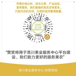 洛川,作文,進校園,蘋果