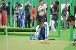 小學(xué)體育課高爾夫進(jìn)校園作文