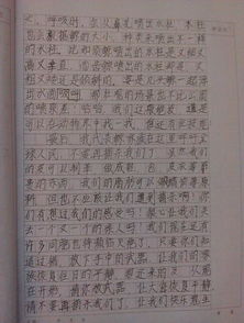 作文,征文,環(huán)保,小學(xué)